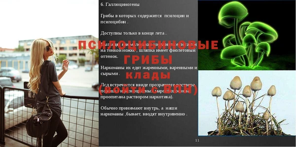 соль курить ск Володарск