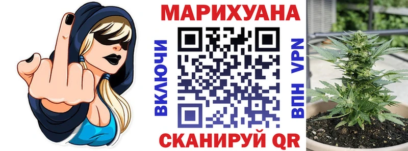 Купить закладки  Курчалой  Марихуана White Widow 